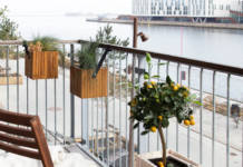 Jakie kwiaty na balkon?